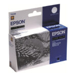 Картридж оригинальный (блистер) матовый черный (matte black) Epson T0348, ресурс 440 стр.