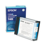 Картридж оригинальный голубой / светло-голубой (Cyan / Light Cyan) Epson T489