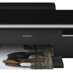 Фотопринтер Epson Inkjet Photo L800 (без картриджей)